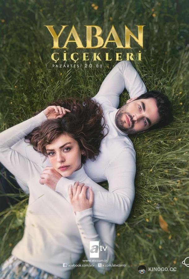 Дикие цветы Yaban Çiçekleri (2024)